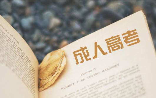 福建成考專升本