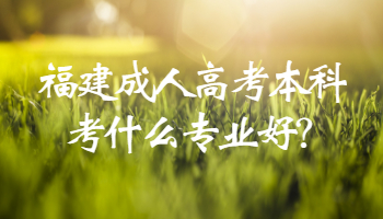 福建成人高考本科考什么專業好?