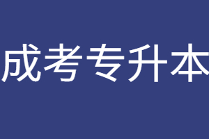 福建成人高考專升本一般多少單詞?